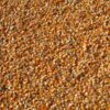 Corn Retreating on Thursday Morning After Hitting 3-year Highs