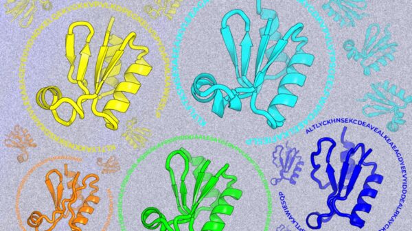 Looking beyond natural sequences | MIT News