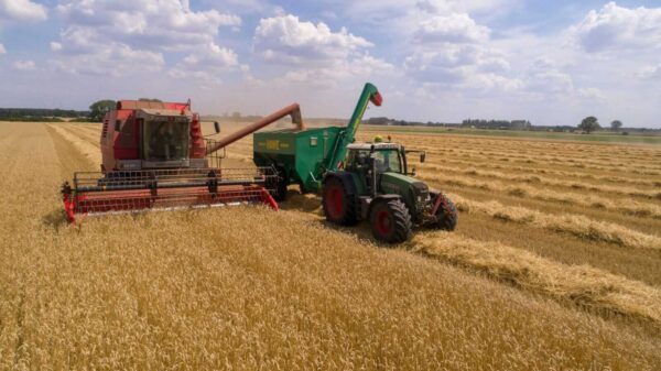 Wheat Fades Lower into the Weekend