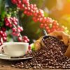 Coffee Prices Fall as Cecafe Reports Strong Brazilian Coffee Exports