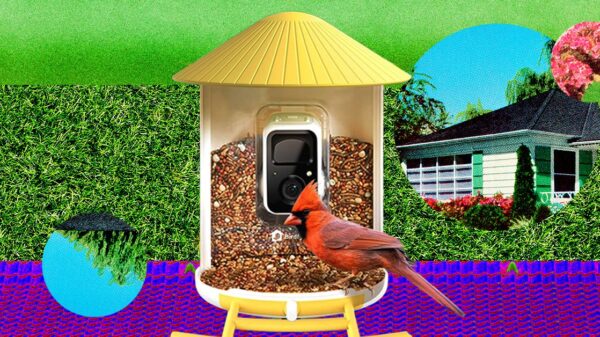 The Smart Bird Feeders Everyone’s Talking About (and Actually Buying) (2026)